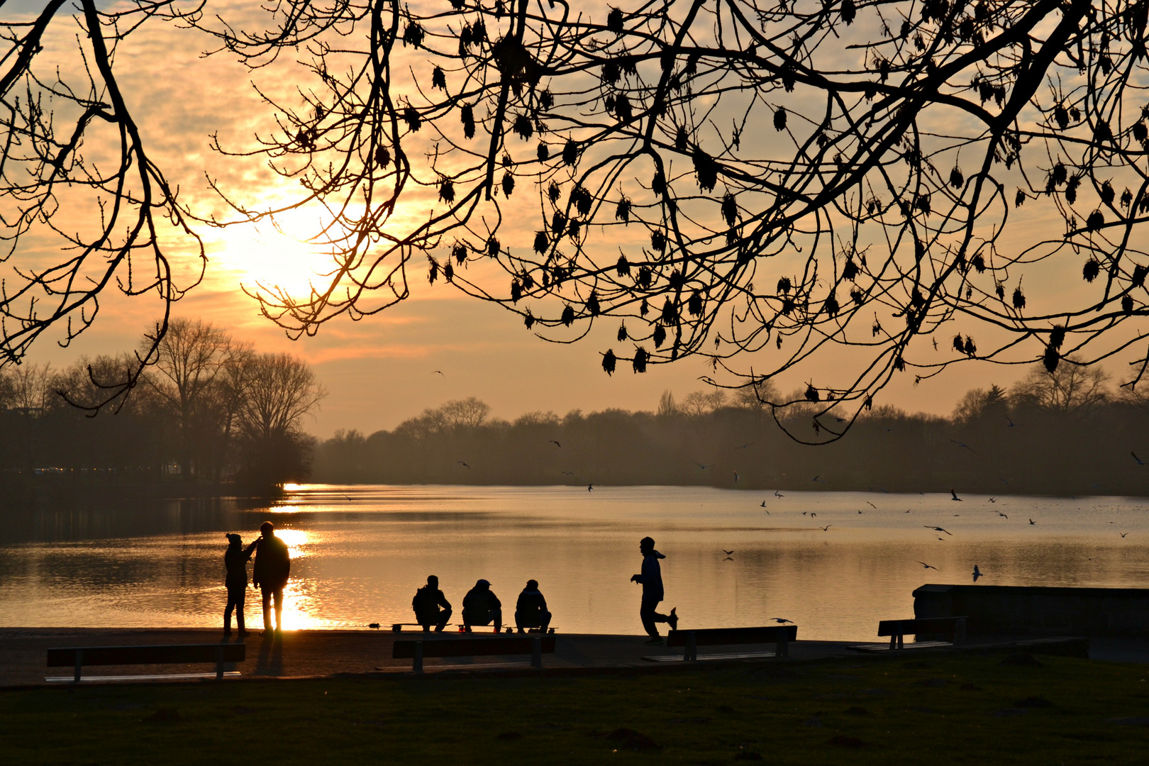 Sonnenuntergang am Aasee