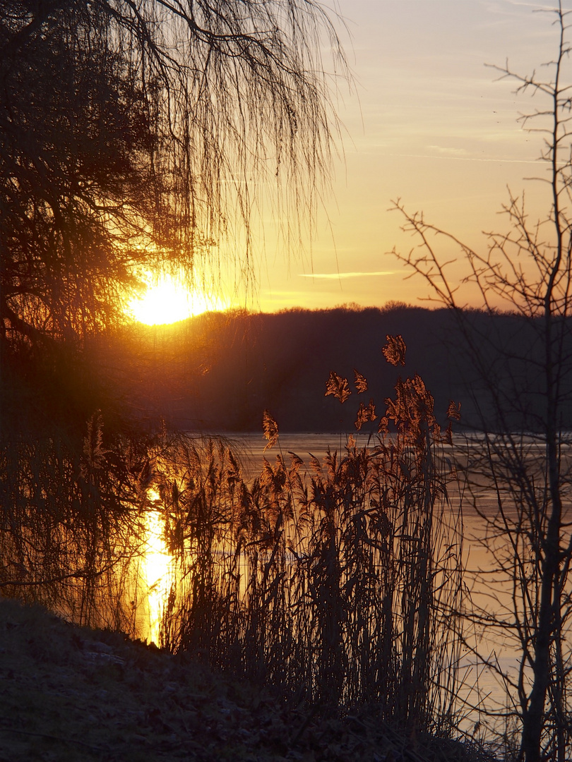 Sonnenuntergang am Aasee Januar 2017 2