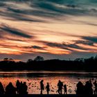 Sonnenuntergang am Aasee, Münster