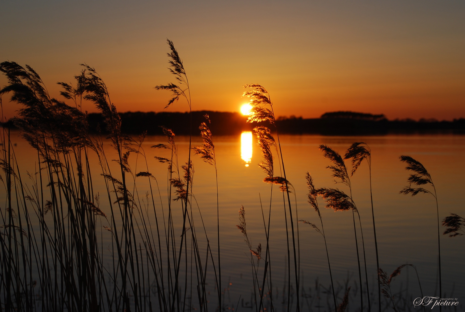 Sonnenuntergang am Achterwasser (Ückeritz)