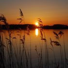 Sonnenuntergang am Achterwasser (Ückeritz)