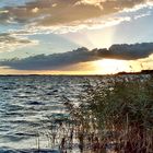 Sonnenuntergang am Achterwasser (Usedom)