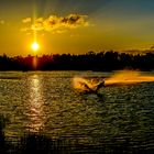 Sonnenuntergang am Alfsee