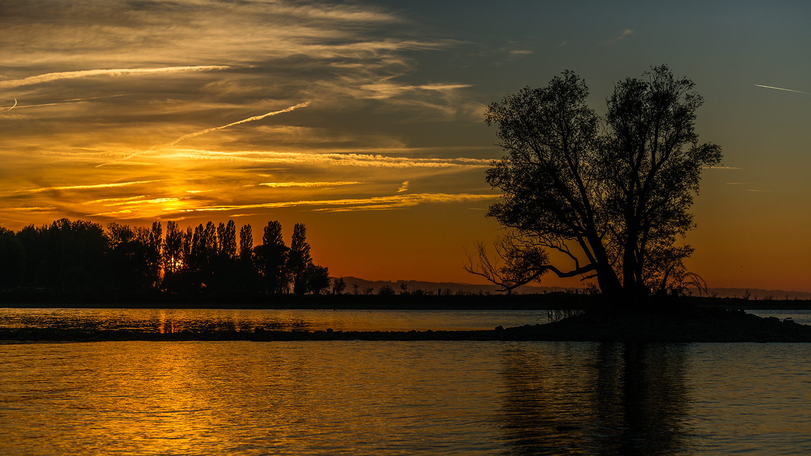 Sonnenuntergang am Altenrhein