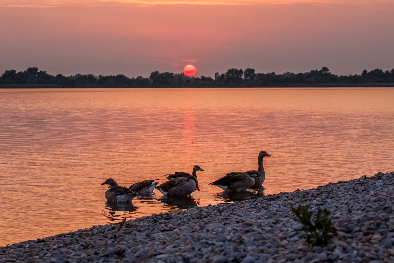 Sonnenuntergang am Altmühlsee