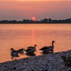 Sonnenuntergang am Altmühlsee