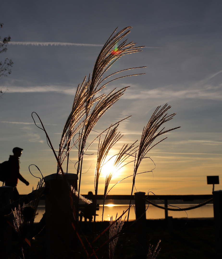 Sonnenuntergang am Altmühlsee