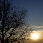 Sonnenuntergang am Altmühlsee ... jetzt mit Baum