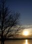 Sonnenuntergang am Altmühlsee ... jetzt mit Baum von Isabelle Hofmann 