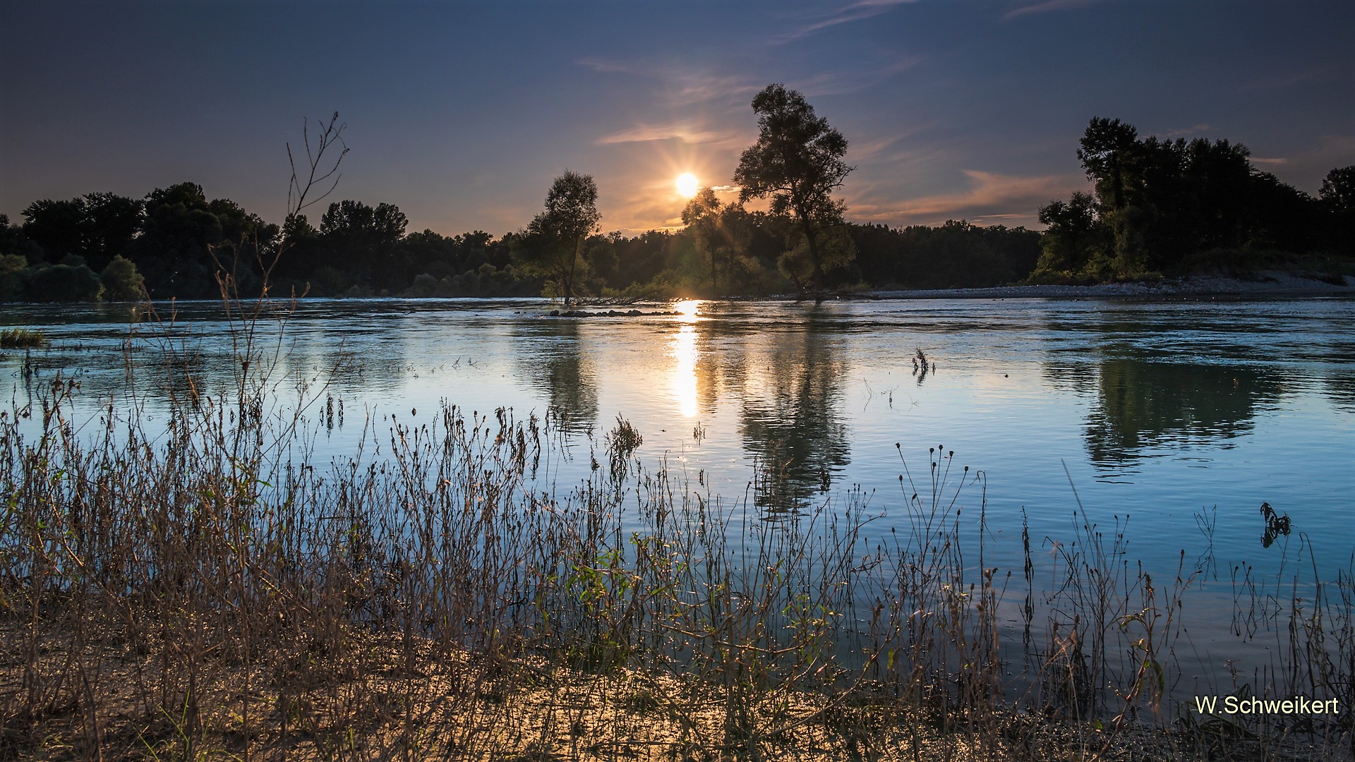 Sonnenuntergang am Altrhein