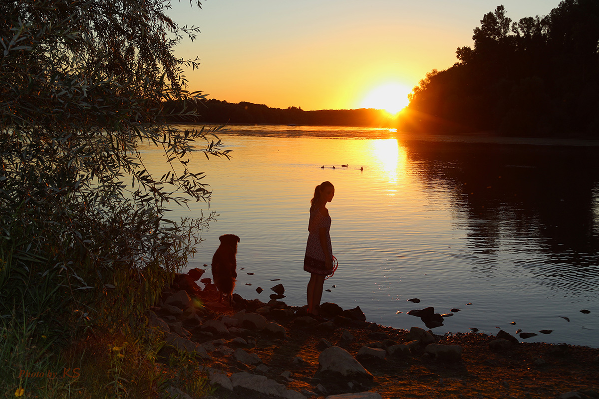 - Sonnenuntergang am Altrhein - 