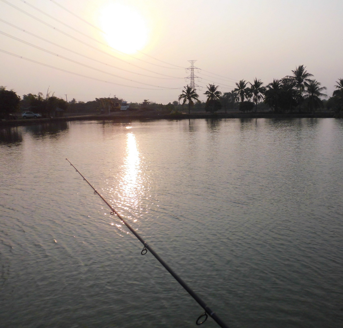 Sonnenuntergang am Amazon Fishing Lake