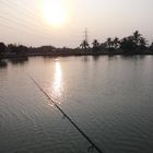 Sonnenuntergang am Amazon Fishing Lake