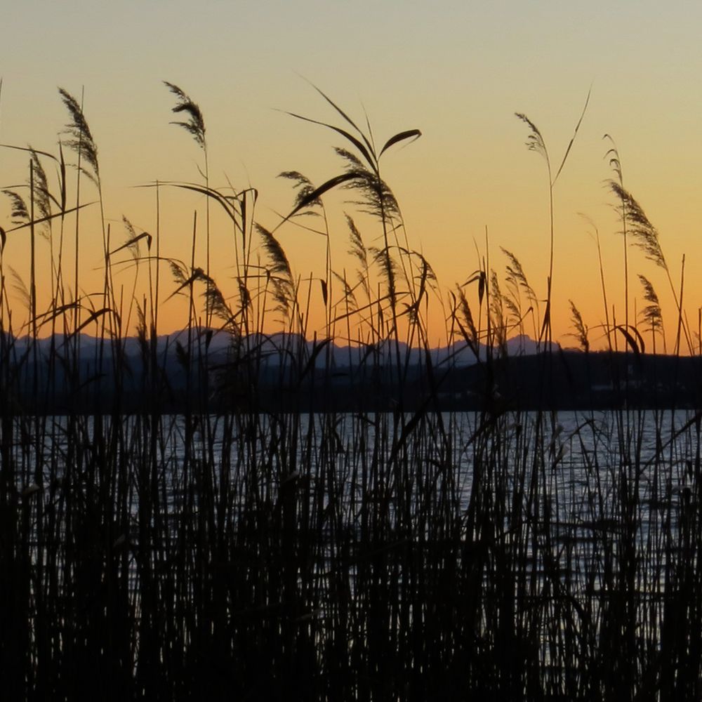 Sonnenuntergang am Ammersee