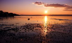 Sonnenuntergang am Ammersee