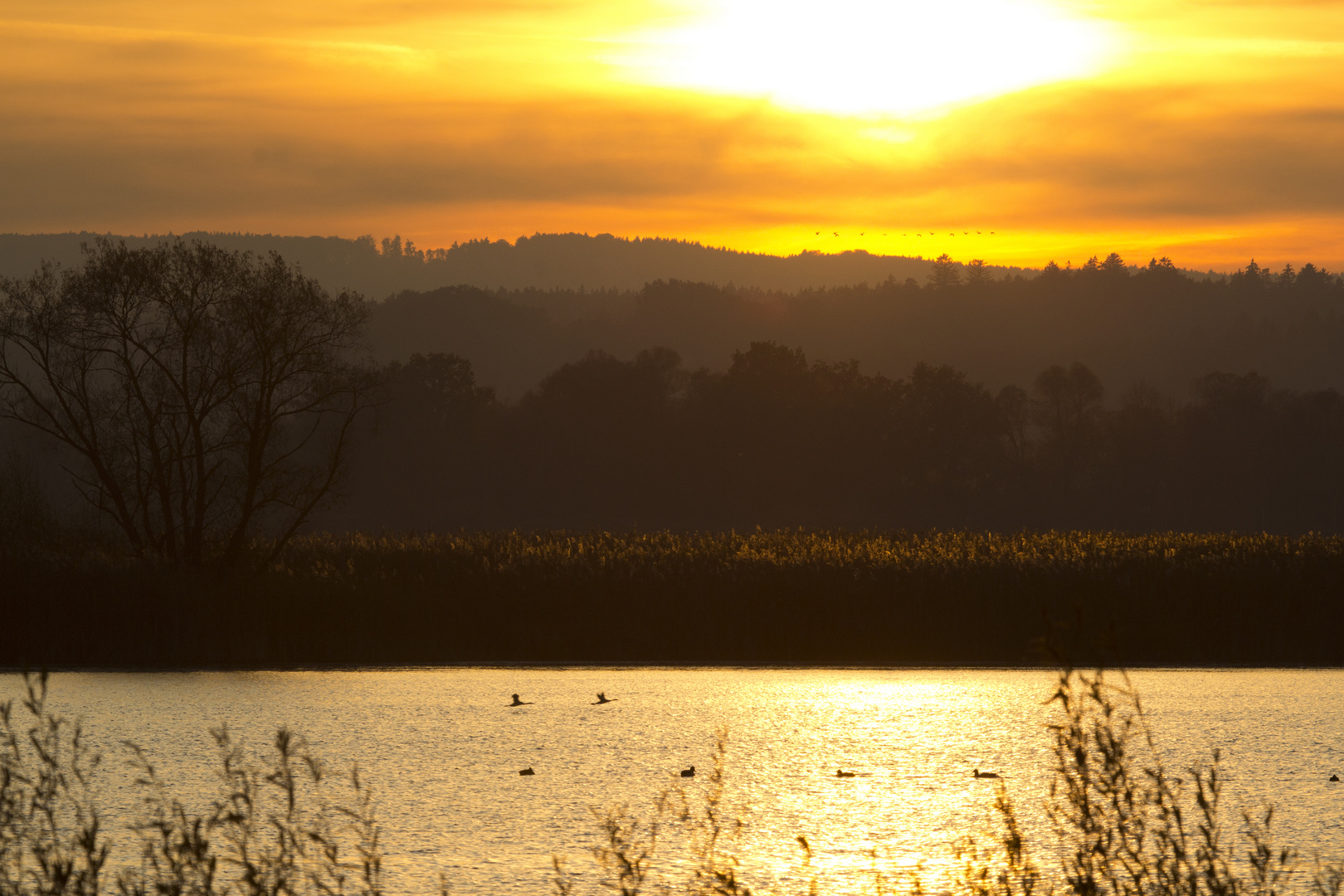 Sonnenuntergang am Ammersee