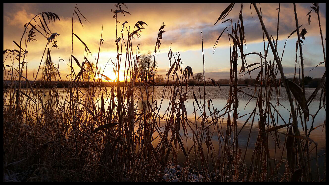 Sonnenuntergang am Angelteich bei Rade