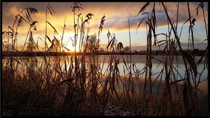 Sonnenuntergang am Angelteich bei Rade
