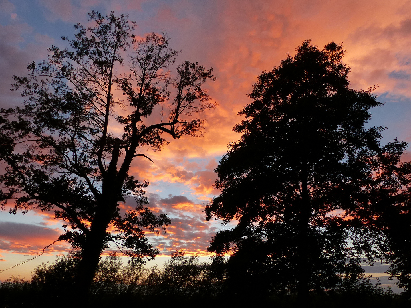 Sonnenuntergang am Arendsee,