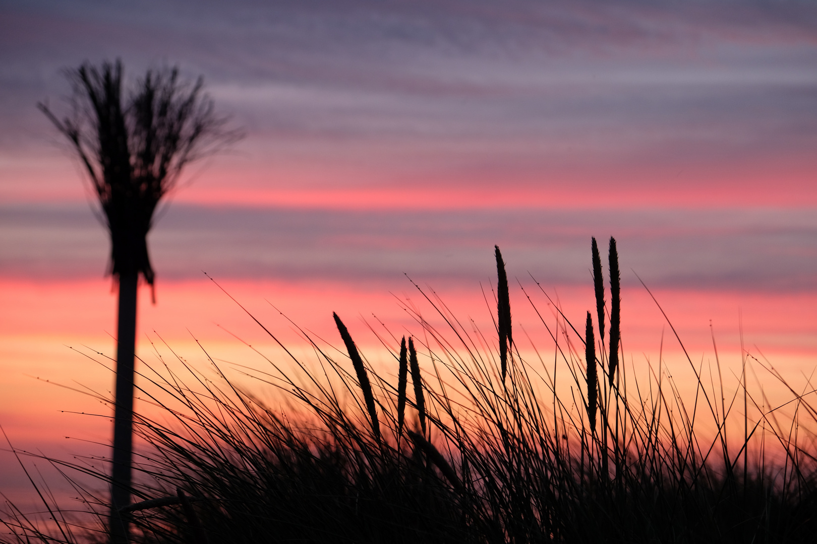 Sonnenuntergang am Baakdeel IV