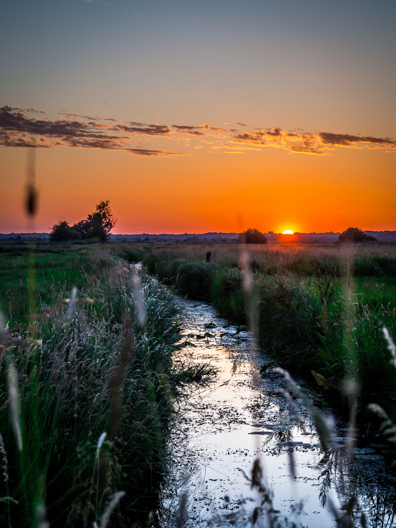 Sonnenuntergang am Bach