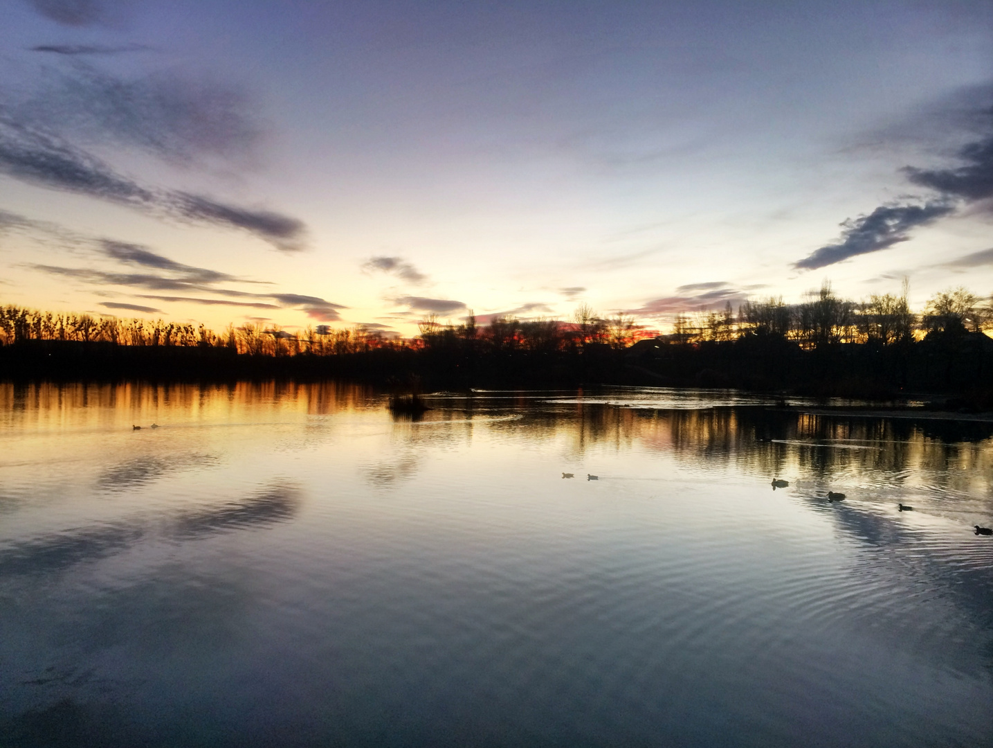 Sonnenuntergang am Badeteich Hirschstetten