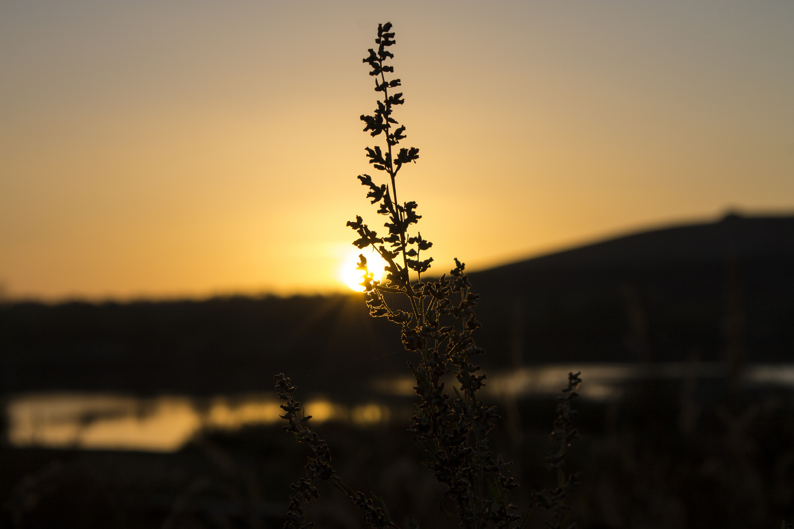 Sonnenuntergang am Baggersee