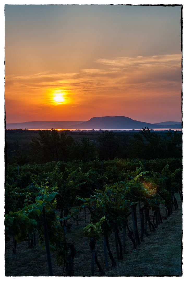 Sonnenuntergang am Balaton