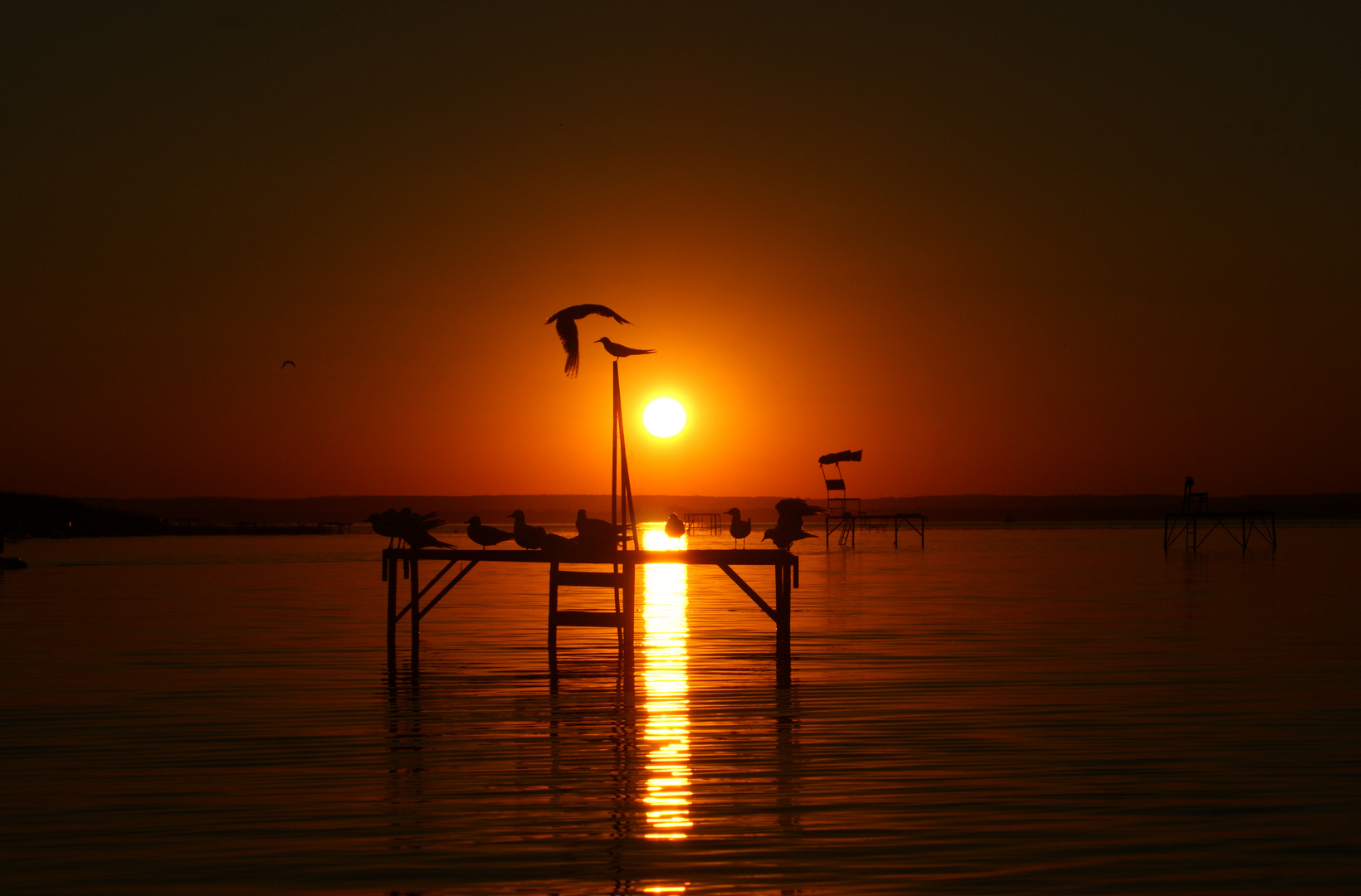 Sonnenuntergang am Balaton