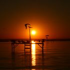 Sonnenuntergang am Balaton