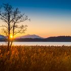 Sonnenuntergang am Bannwaldsee