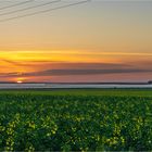 Sonnenuntergang am Barther Bodden... 