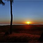 Sonnenuntergang am Barther Bodden...