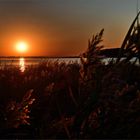 Sonnenuntergang am Barther Bodden