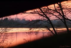 Sonnenuntergang am Baum