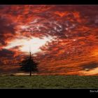 Sonnenuntergang am Belchen