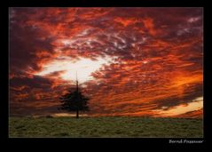 Sonnenuntergang am Belchen