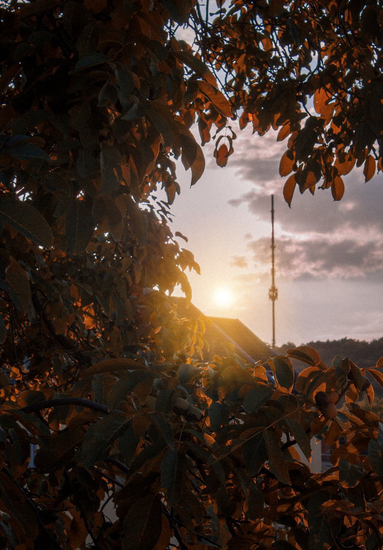 Sonnenuntergang am Berg