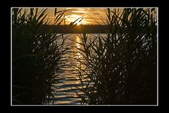 Sonnenuntergang am Bergwitzsee