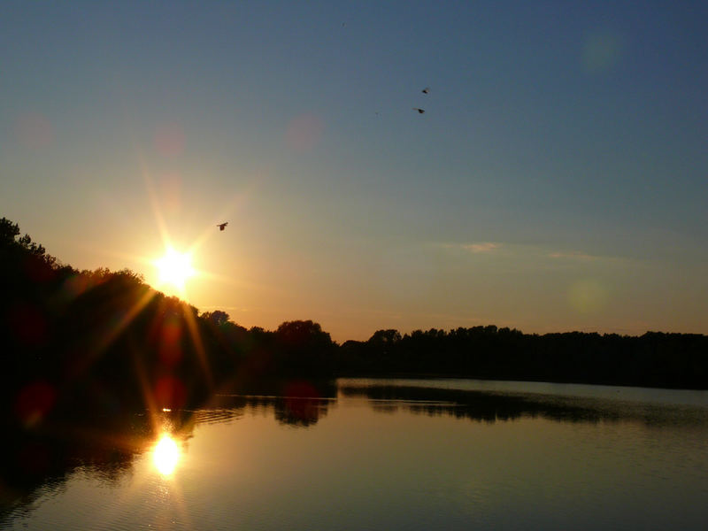 Sonnenuntergang am Bienrodersee