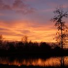 Sonnenuntergang am Biotop