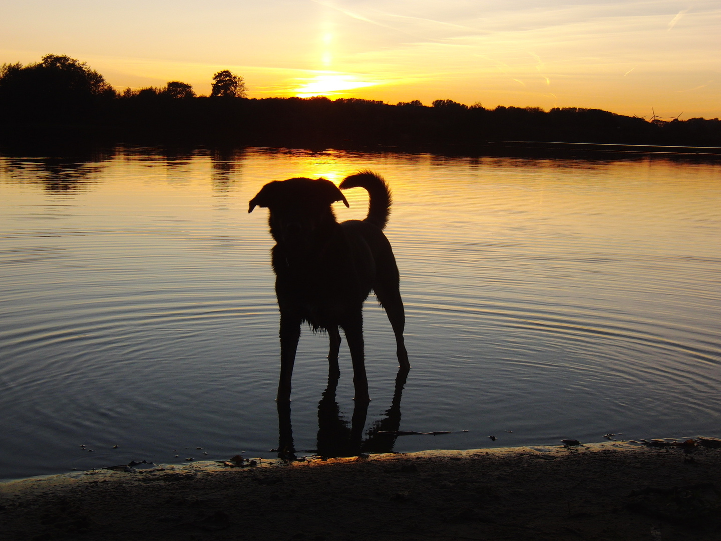 Sonnenuntergang am Bockholter Berge See