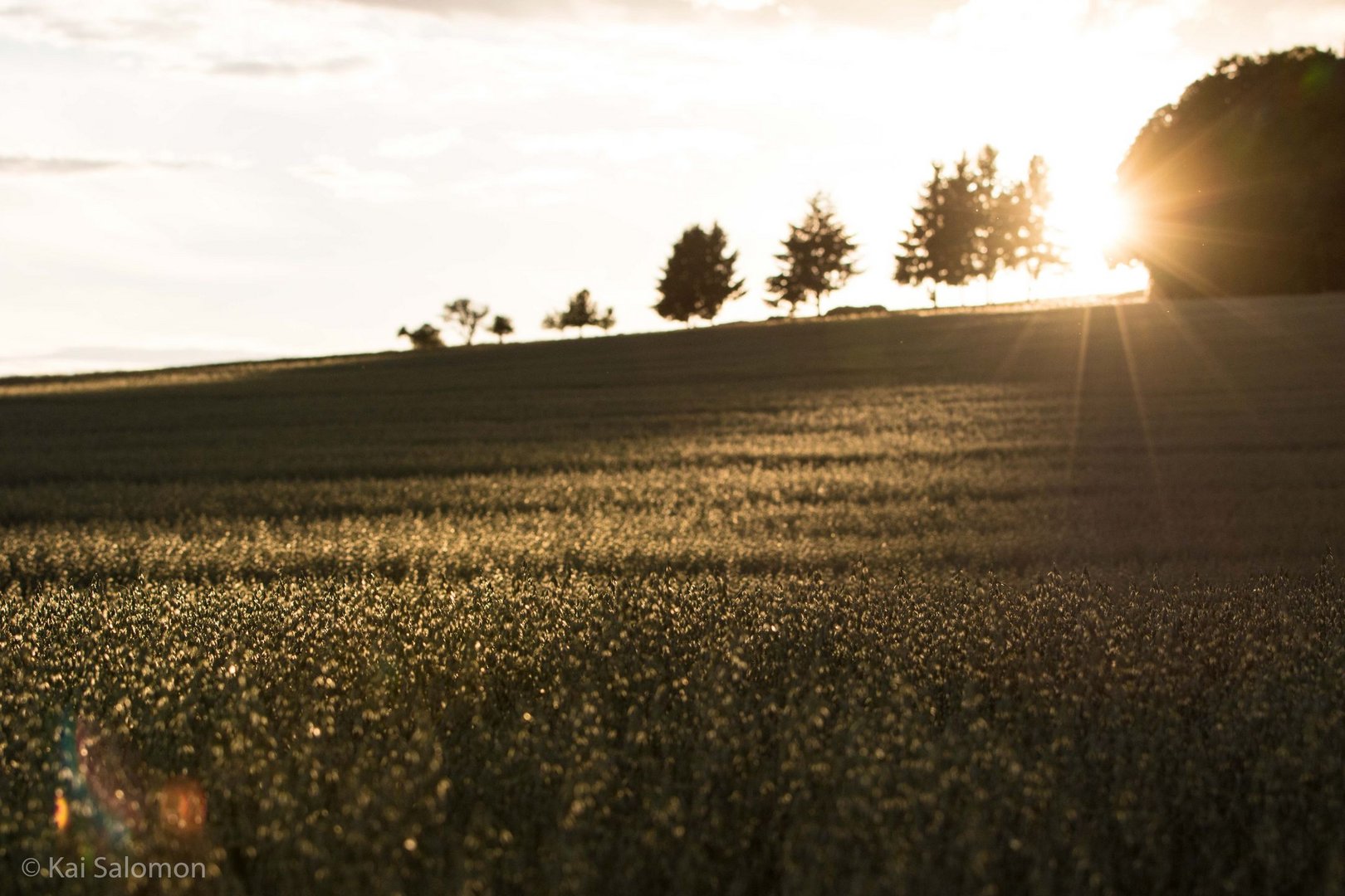 Sonnenuntergang am Bodanrück