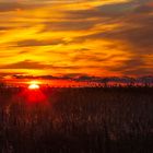 Sonnenuntergang am Bodden