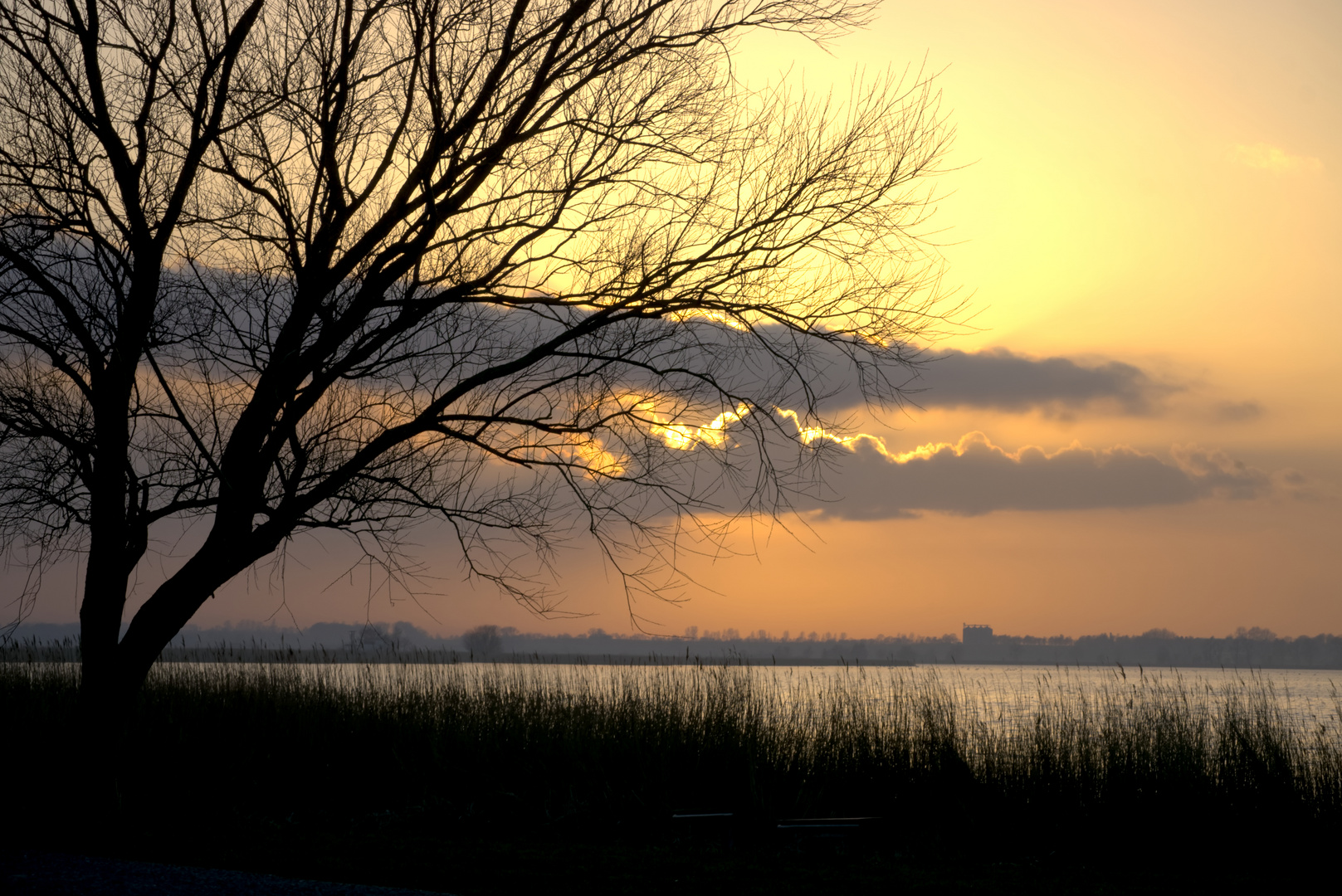 Sonnenuntergang am Bodden