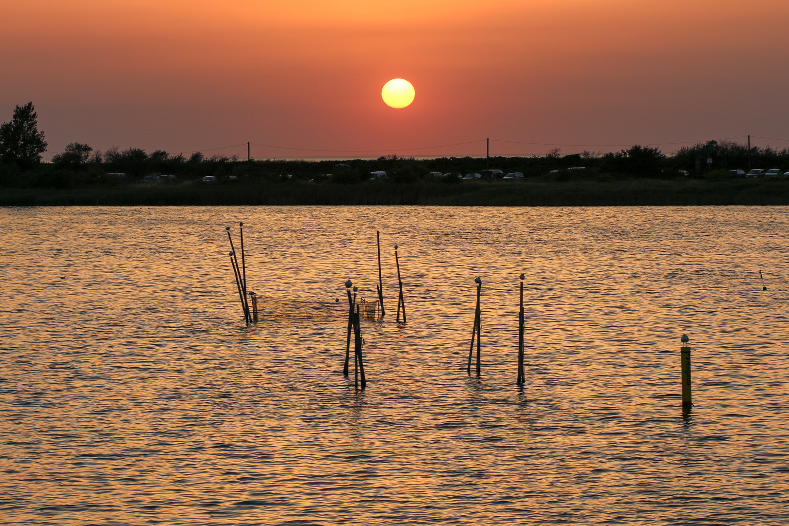 Sonnenuntergang am Bodden