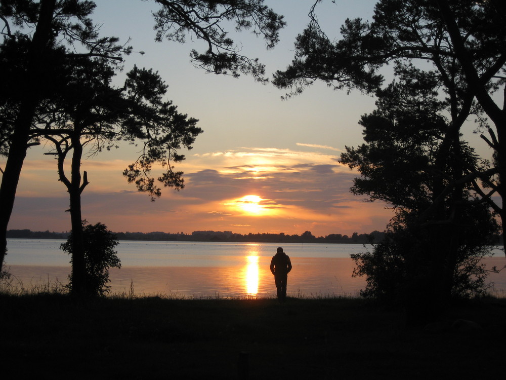 Sonnenuntergang am Bodden