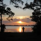 Sonnenuntergang am Bodden