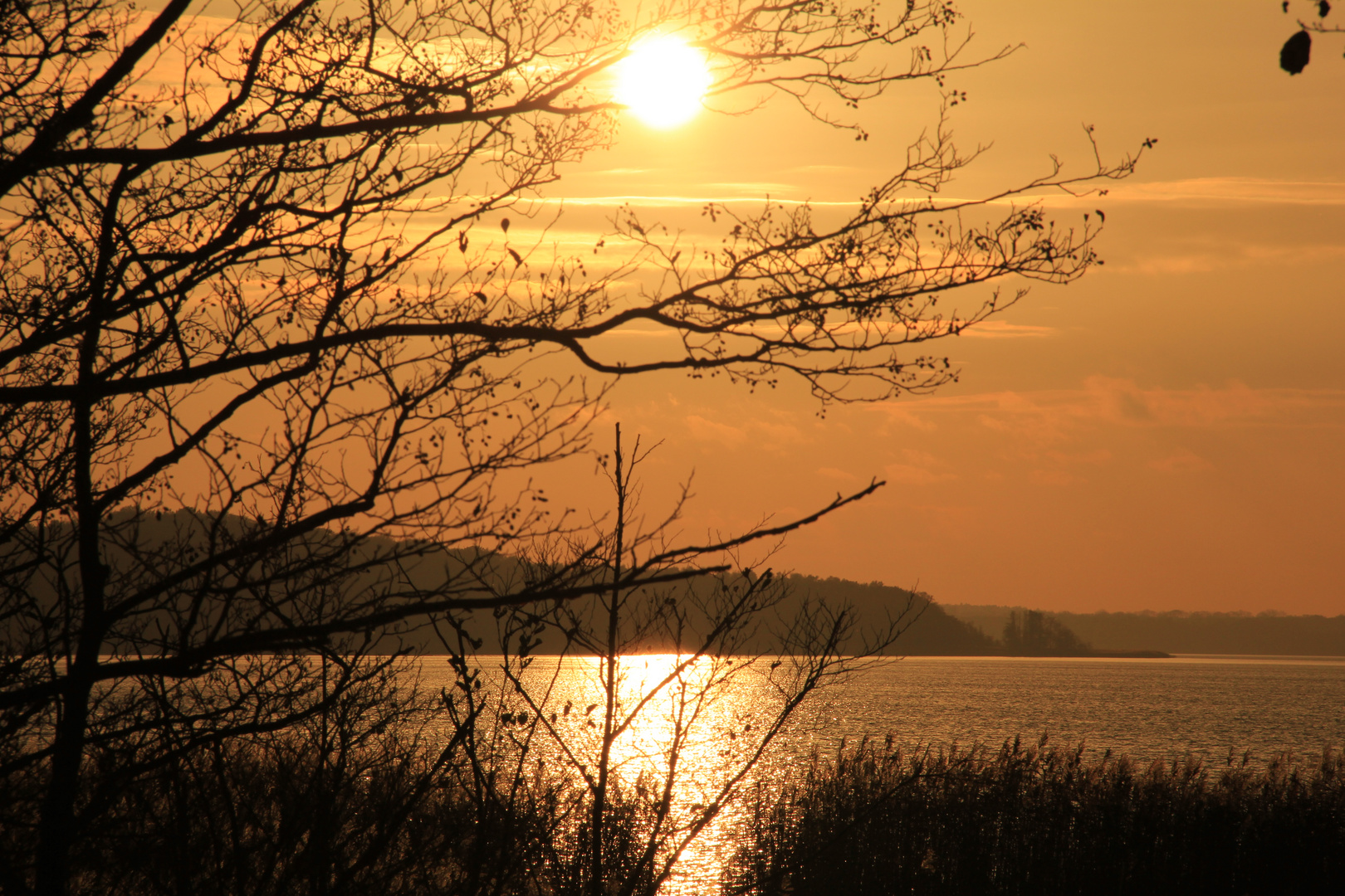 Sonnenuntergang am Bodden