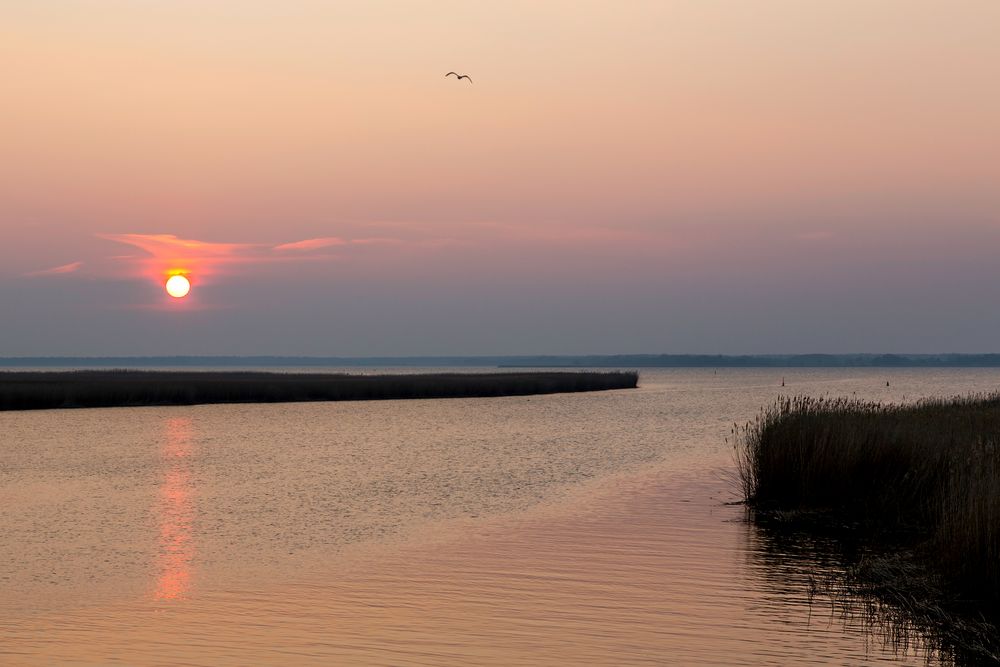 Sonnenuntergang am Bodden